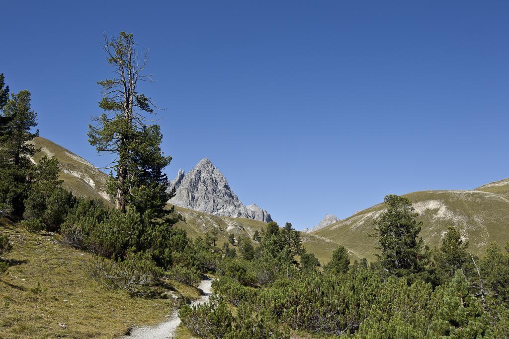 Panorama Lodge Scuol Bilik gambar